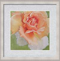 Beachy framed and matted floral print by Sharon Bignell Fine Art