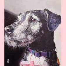 9" x 12" Oil on canvas SOLD "Sir Chester Buckshot" Original oil painting by Sharon Bignell