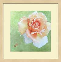Floral matted and framed print by Sharon Bignell Fine Art